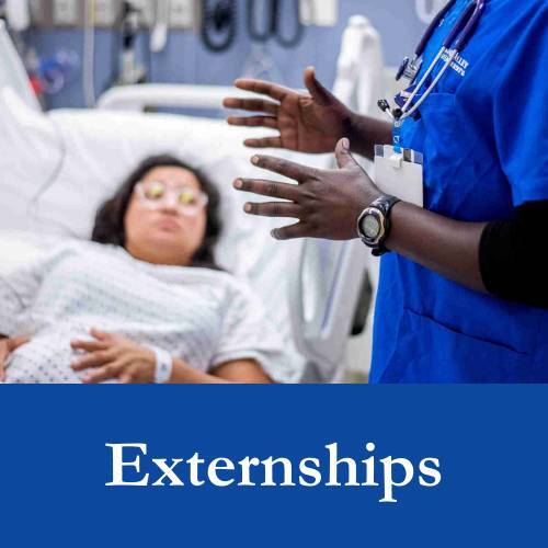 Externships